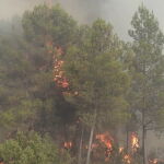 El incendio forestal en Venta del Moro (Valencia) continúa activo y el calor complica las labores de extinción