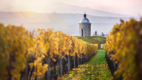 Entre copas (de vino) por el sur de la República Checa