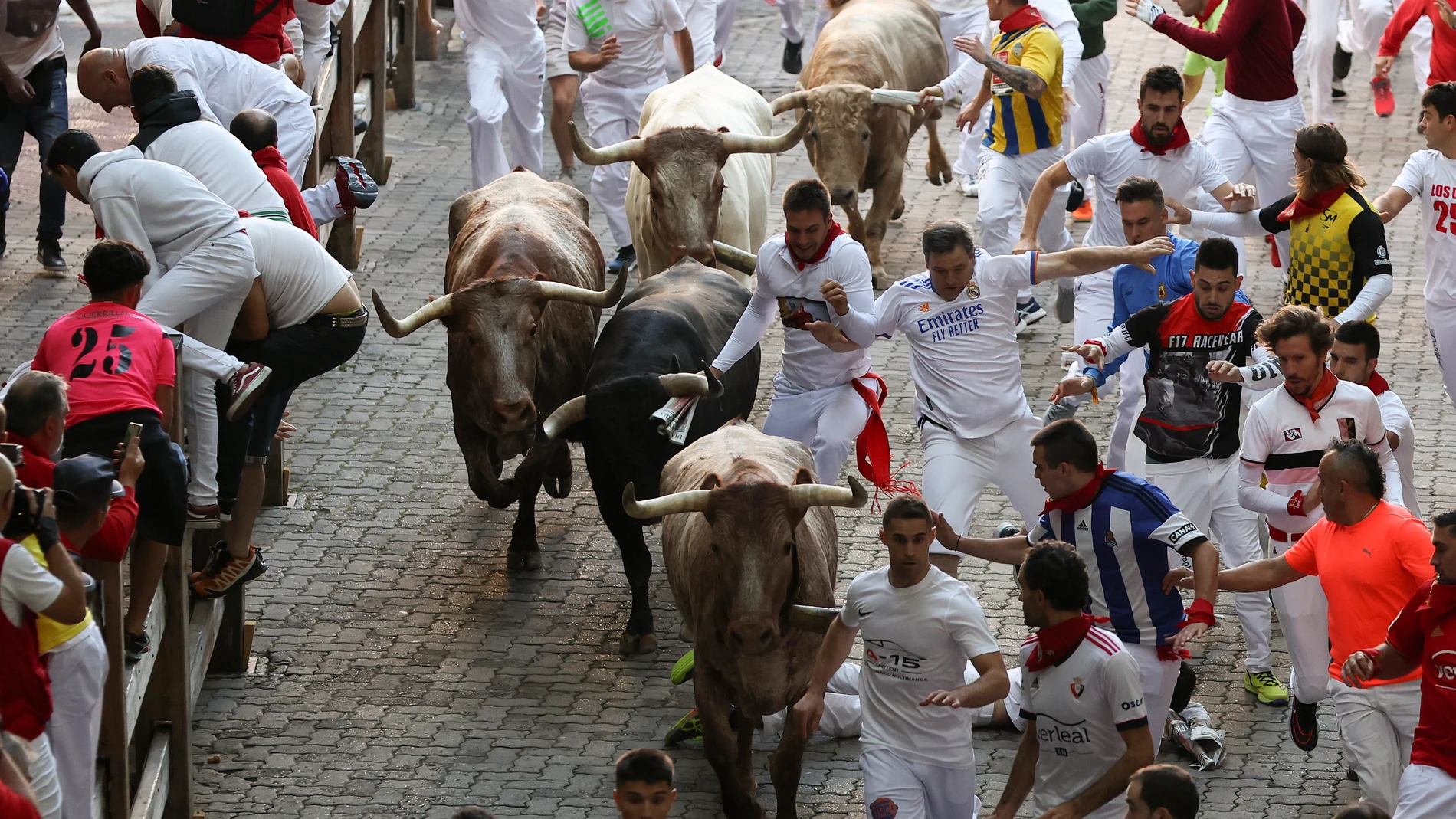 Los toros de la ganadería gaditana Núñez del Cuvillo en el tramo del callejón, antes de entrar en la Plaza de Toros