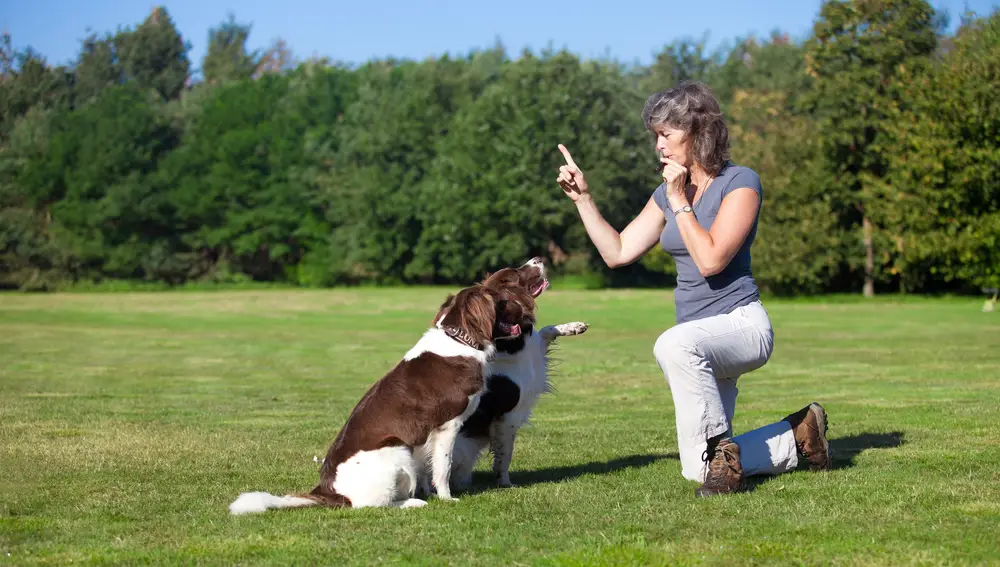 Una mujer entrena a sus dos perros haciendo sonar un silbato