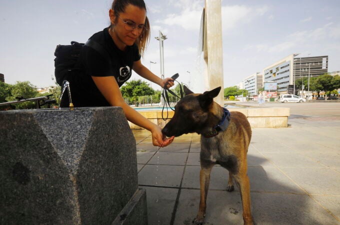 Una joven da de beber a su perro durante un paseo por el centro de Córdoba. EFE/Salas