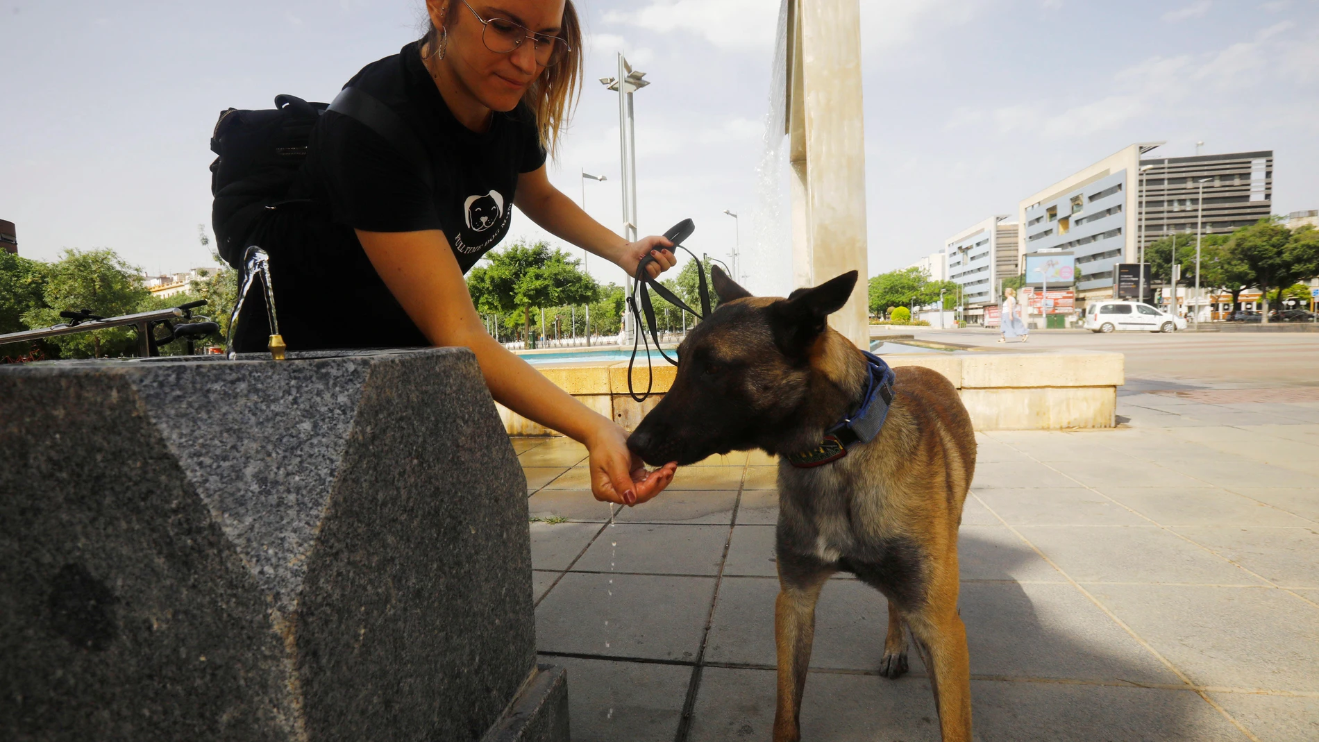Una joven da de beber a su perro durante un paseo por el centro de Córdoba. EFE/Salas