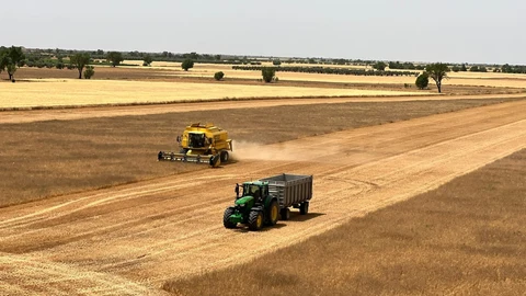 Cosecha de cereal en Castilla
