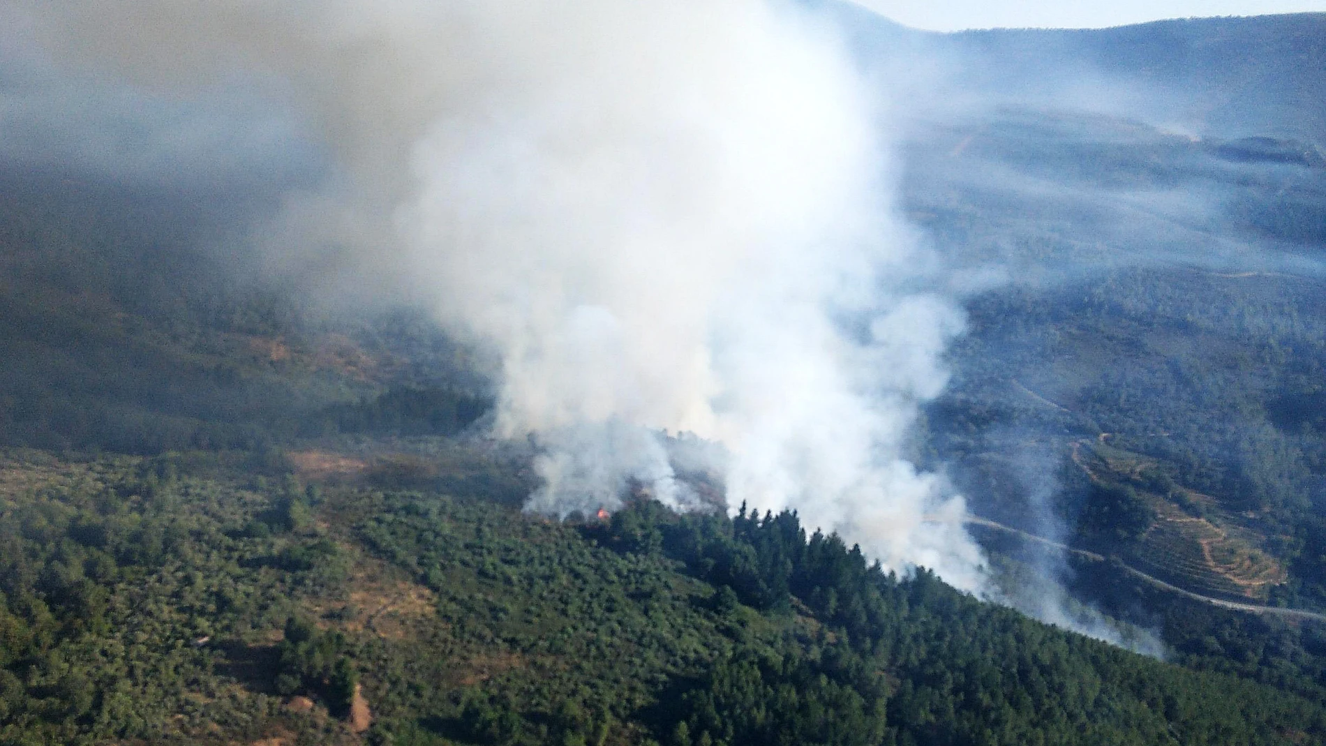 Incendio en Villanueva del Conde (Salamanca)