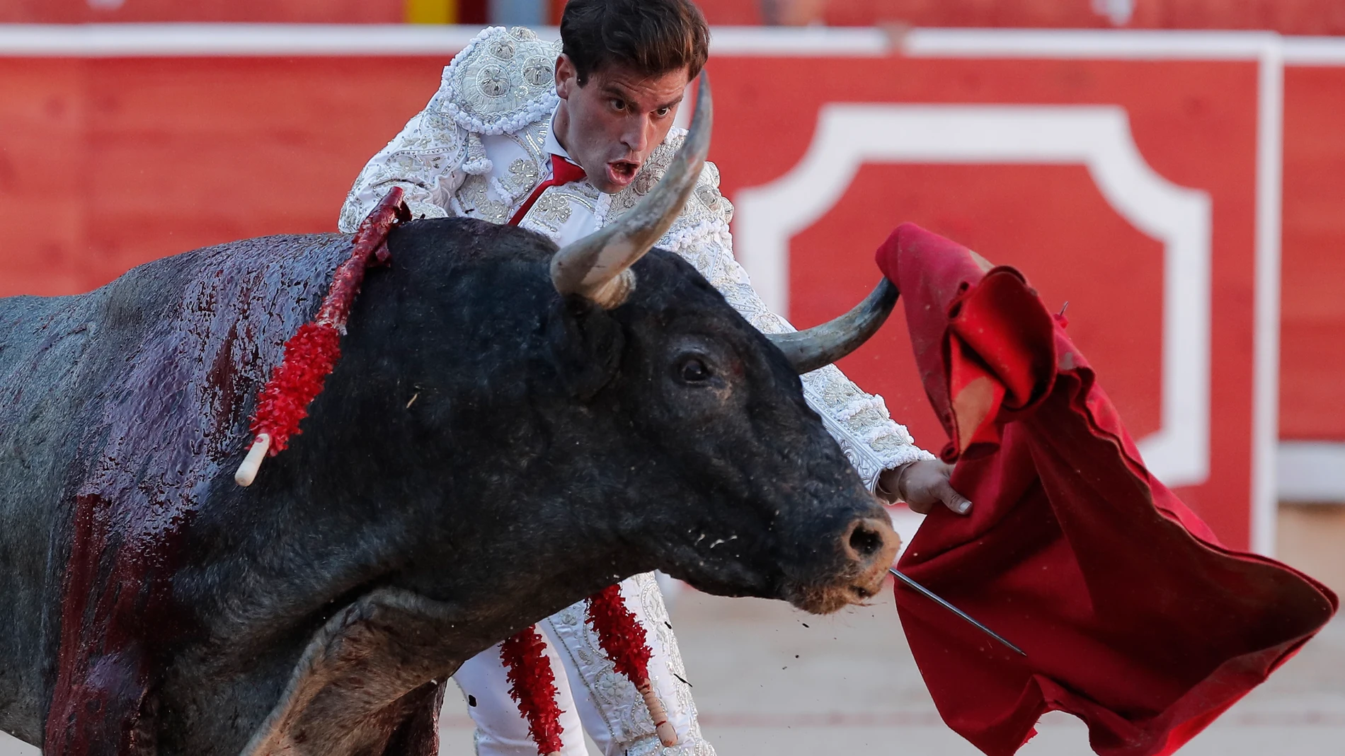 Pinar durante la lidia a su primer toro de la tarde EFE/ Villar Lopez