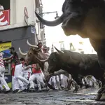 Cuarto encierro de los Sanfermines con toros de la ganadería La Palmosilla este domingo en Pamplona.