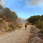 Efectivos del Plan Infoca actuán en el incendio forestal decretado en El Ronquillo