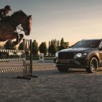 Bentley Bentayga Equestrian Collection