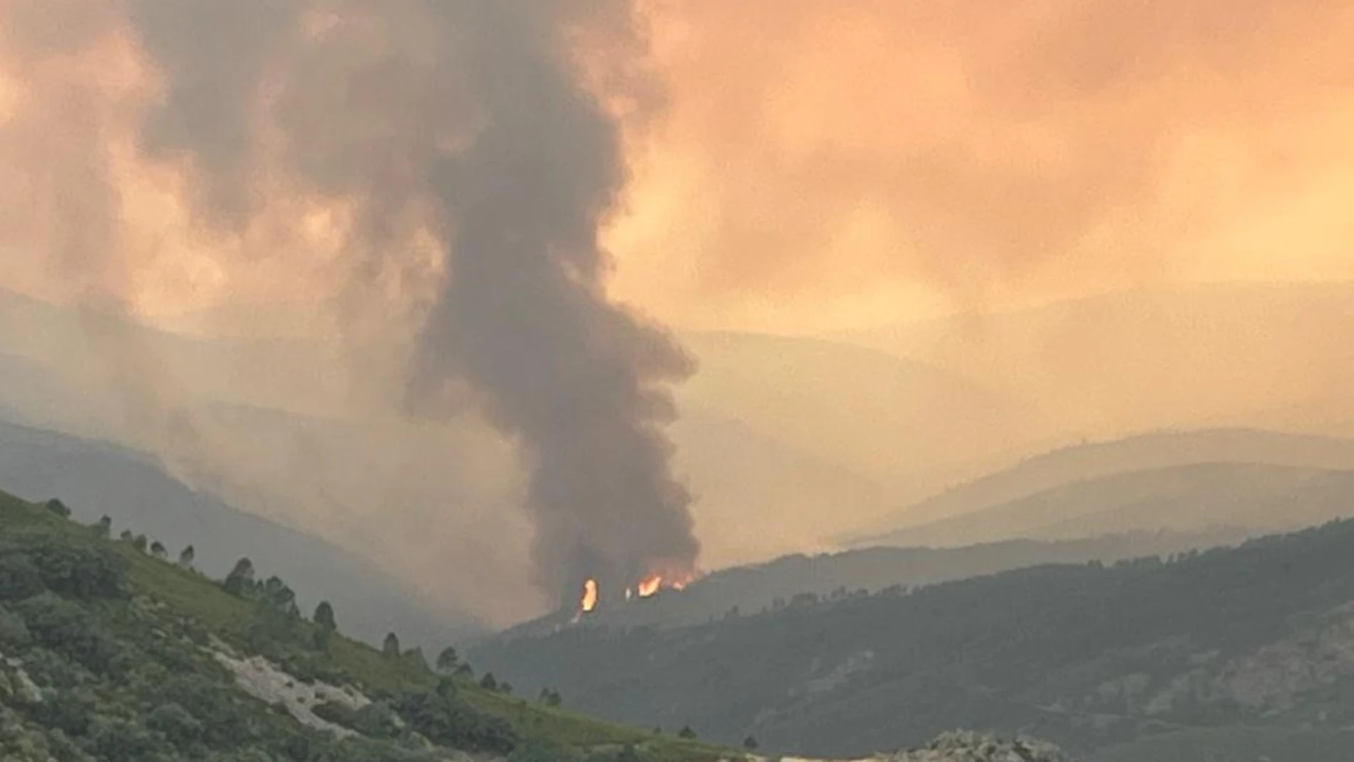 Incendio en la zona de Monsagro (Salamanca) el pasado año