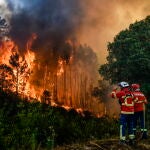 Foto de archivo de un incendio forestal. EFE/NUNO ANDRE FERREIRA