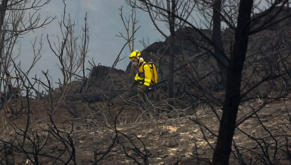 Un bombero en la zona afectada por el incendio declarado en el término de Monsagro, al suroeste de Salamanca