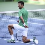 Novak Djokovic podría tener la autorización para entrar en Estados Unidos