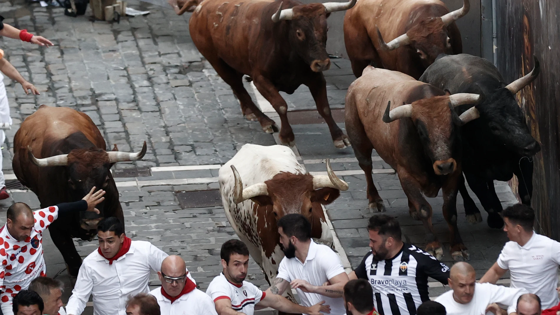 PAMPLONA, 14/07/2022.- Los mozos, durante el octavo y último encierro de los Sanfermines con toros de la ganadería de Miura este jueves en Pamplona. EFE/ Jesus Diges