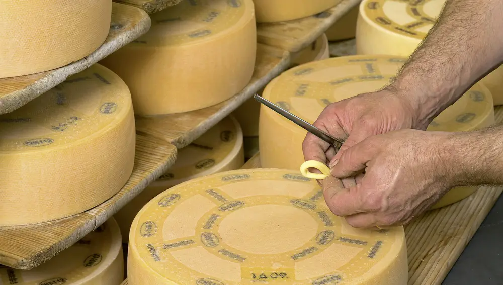 O famoso queijo Appenzeller em pleno processo de produção Production_Appenzeller®