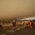 El avance del incendio forestal de Monsagro obliga al desalojo de Guadapero y Morasverdes (Salamanca)