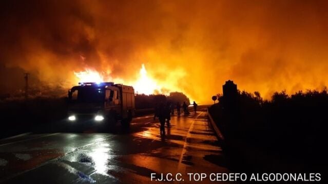 El incendio forestal en un paraje rural de Olvera (Cádiz). PLAN INFOCA