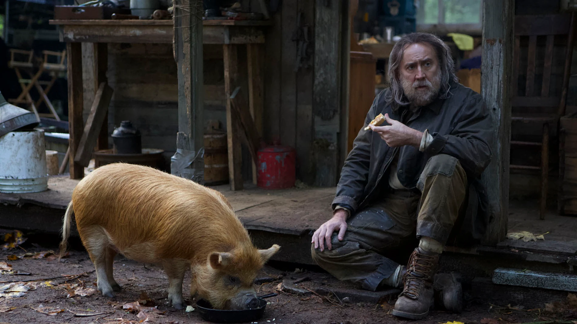 Nicolas Cage en "Pig"