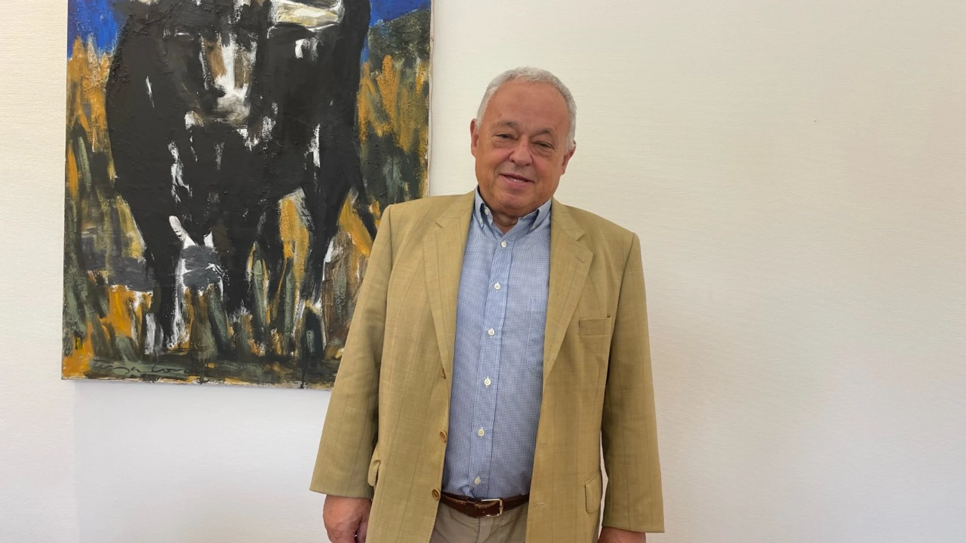El consejero de Cultura, Turismo y Deporte de Castilla y León, Gonzalo Santonja