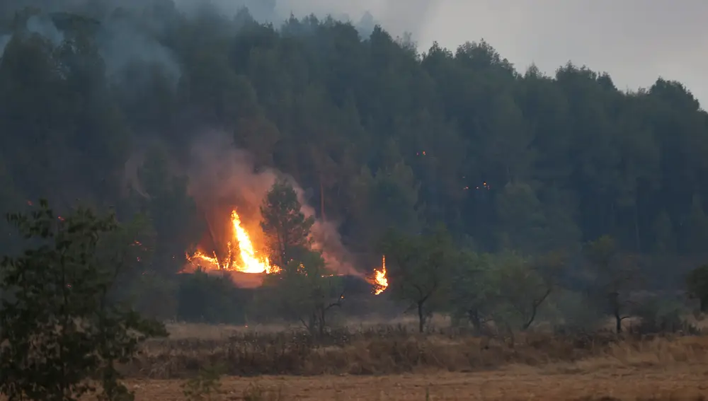 Imagen de las llamas producidas por el incendio que se ha declarado en los alrededores de Sant Fruitós de Bages, en la provincia de Barcelona.