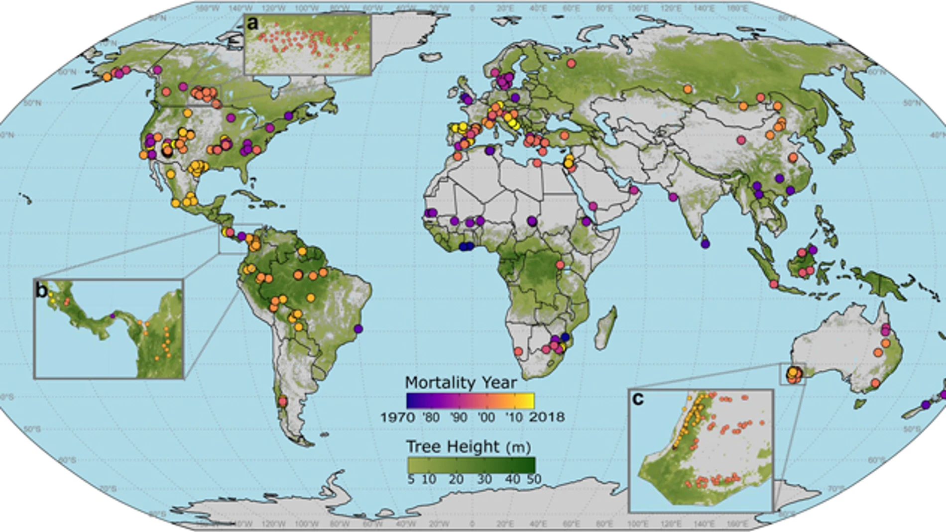 Distribución global de los eventos de mortalidad de árboles registrados en el planeta