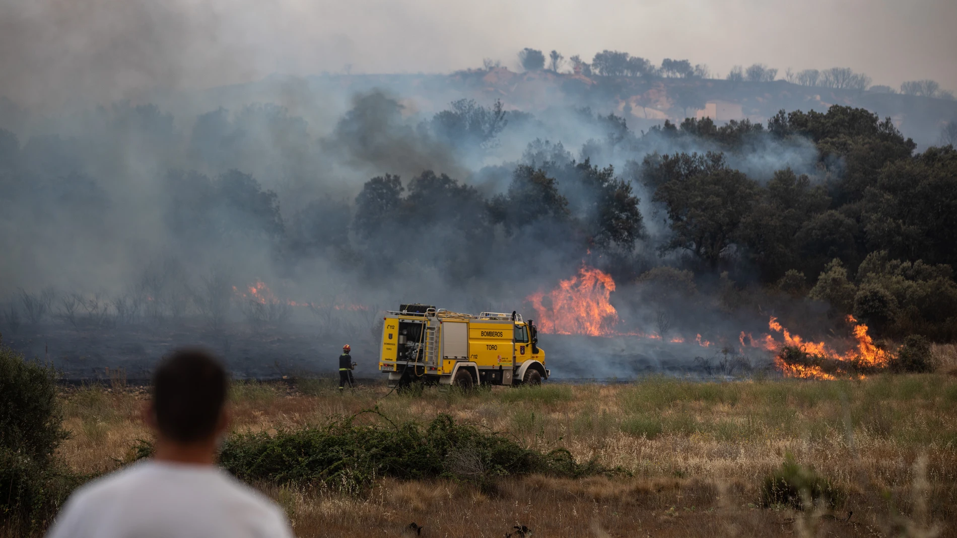 Incendio en Losacio (Zamora)