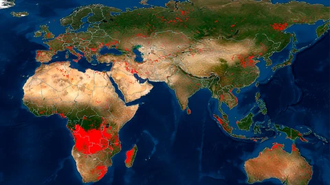FIRMS da una visión global de los incendios en el planeta.