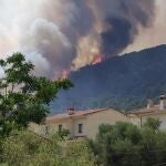 Incendio en Cebreros (Ávila)