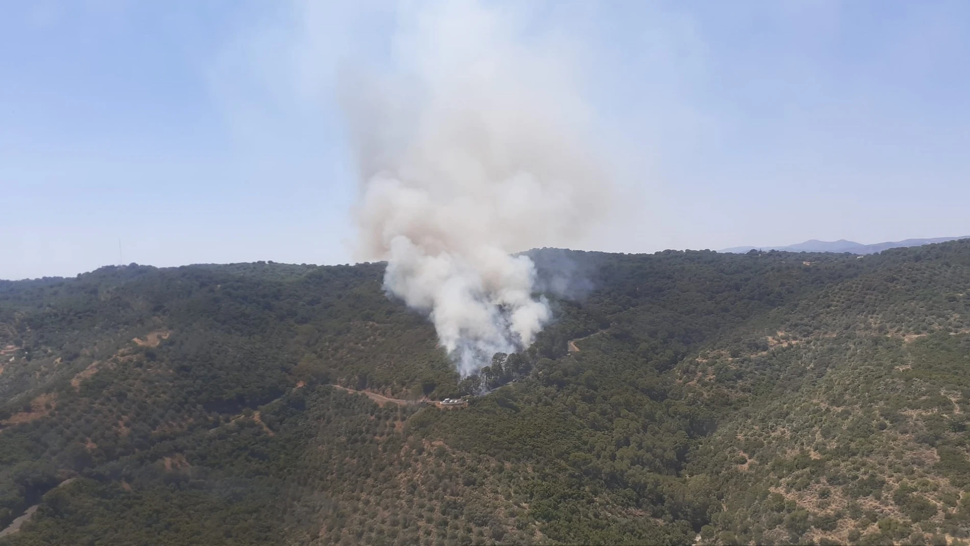 Paraje del Lagar de la Cruz, donde se ha declarado el incendio en la Sierra de Córdoba. PLAN INFOCA