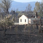 Vista de la zona de San Martín de Tábara (Zamora), afectada por el incendio forestal de Losacio (Zamora)