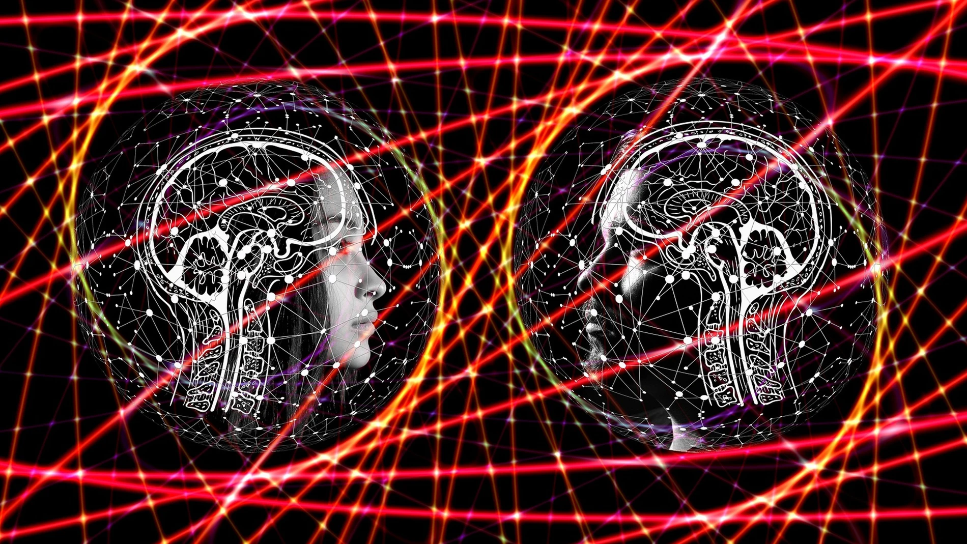 Dos cabezas enfrentadas, a las que se les ve el cerebro y la médula, rodeadas de curvas y puntos futuristas