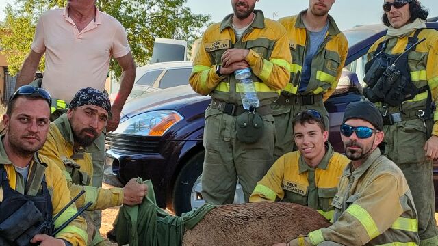 Los brigadistas con el corzo rescatado