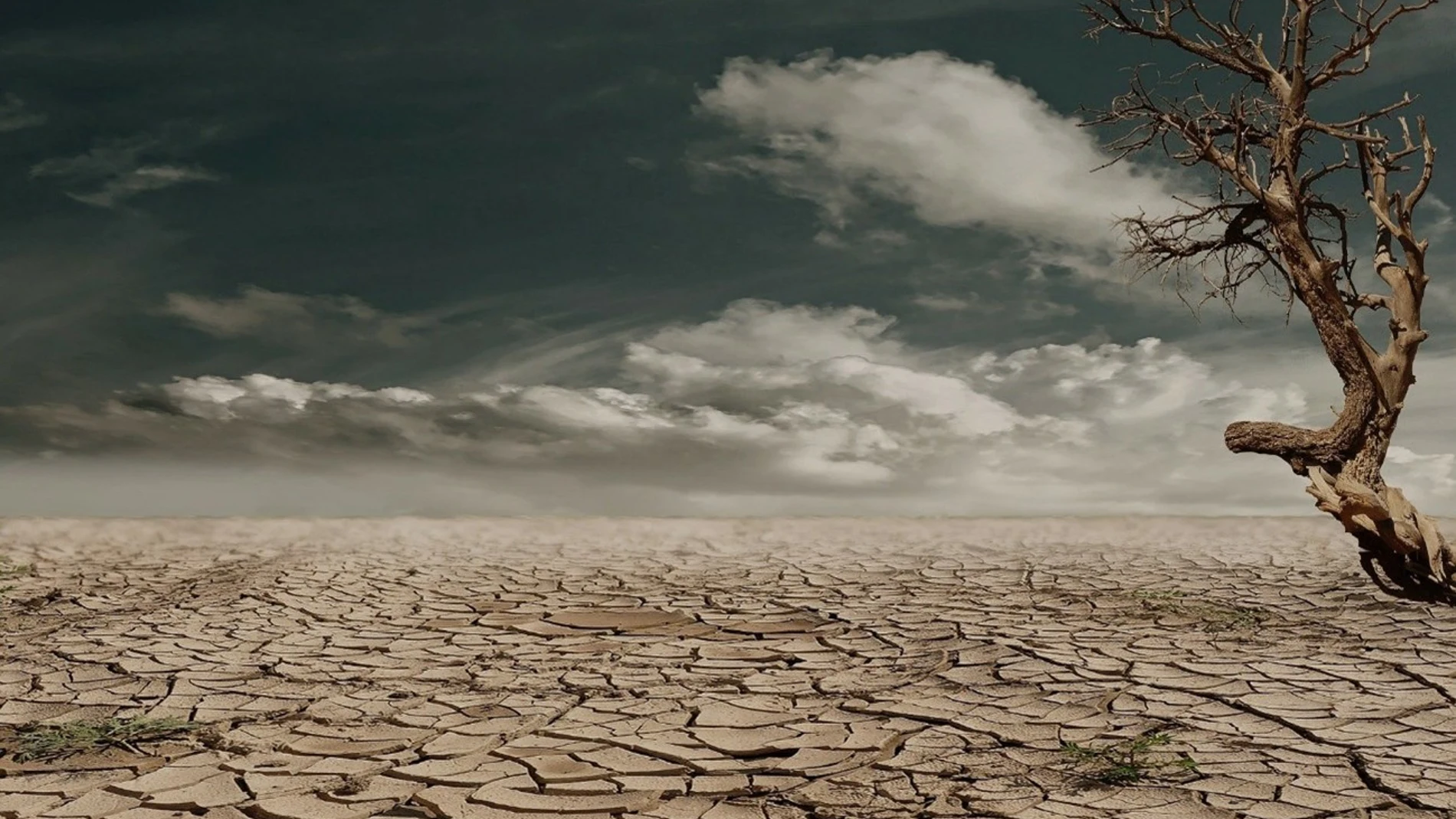 Tierra cuarteada por la sequía (photoshop)