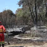  Controlado tras 28 días y 31.500 hectáreas quemadas el mayor incendio del año en España