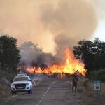 Incendio de Zamora