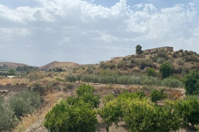 Vistas de una parte de terreno en Cantoria (Almería). AYTO DE CANTORIA