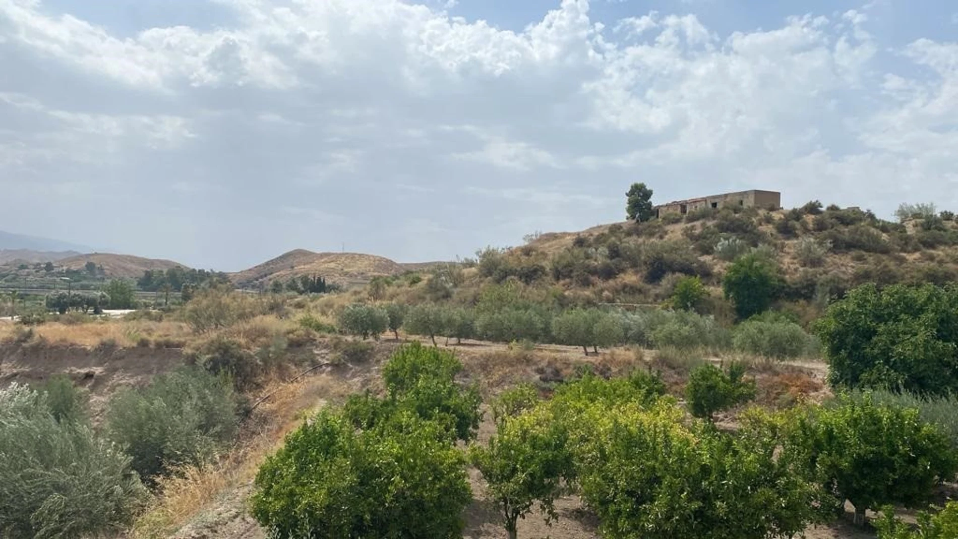 Vistas de una parte de terreno en Cantoria (Almería). AYTO DE CANTORIA