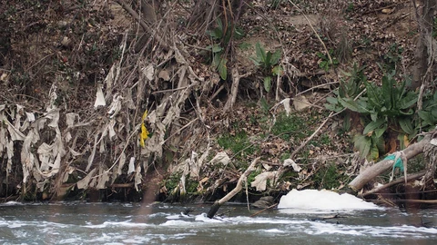 Basura en el río Jarama