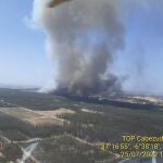 Incendio declarado en Bonares (Huelva). INFOCA