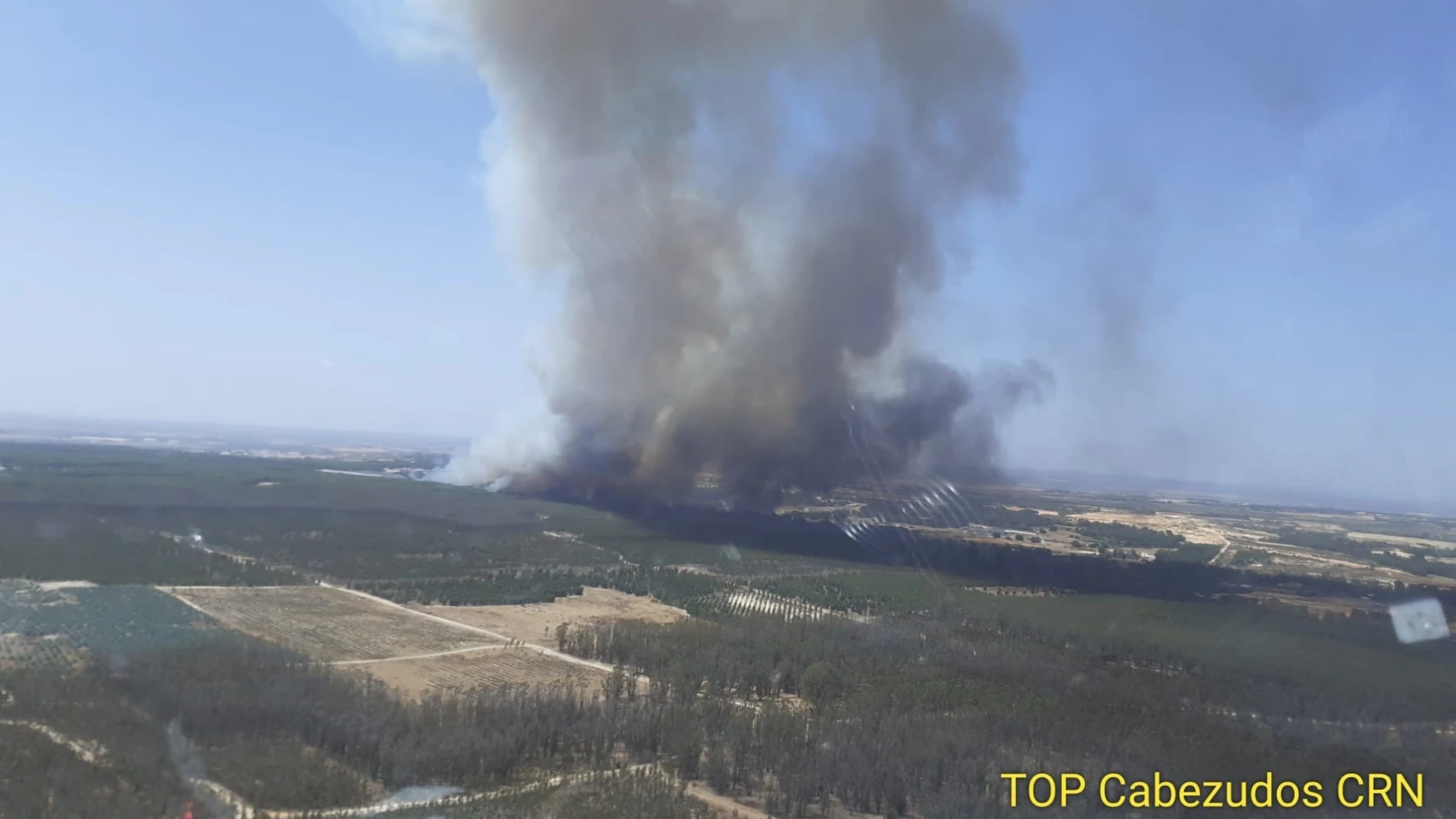 Incendio declarado en Bonares (Huelva). INFOCA