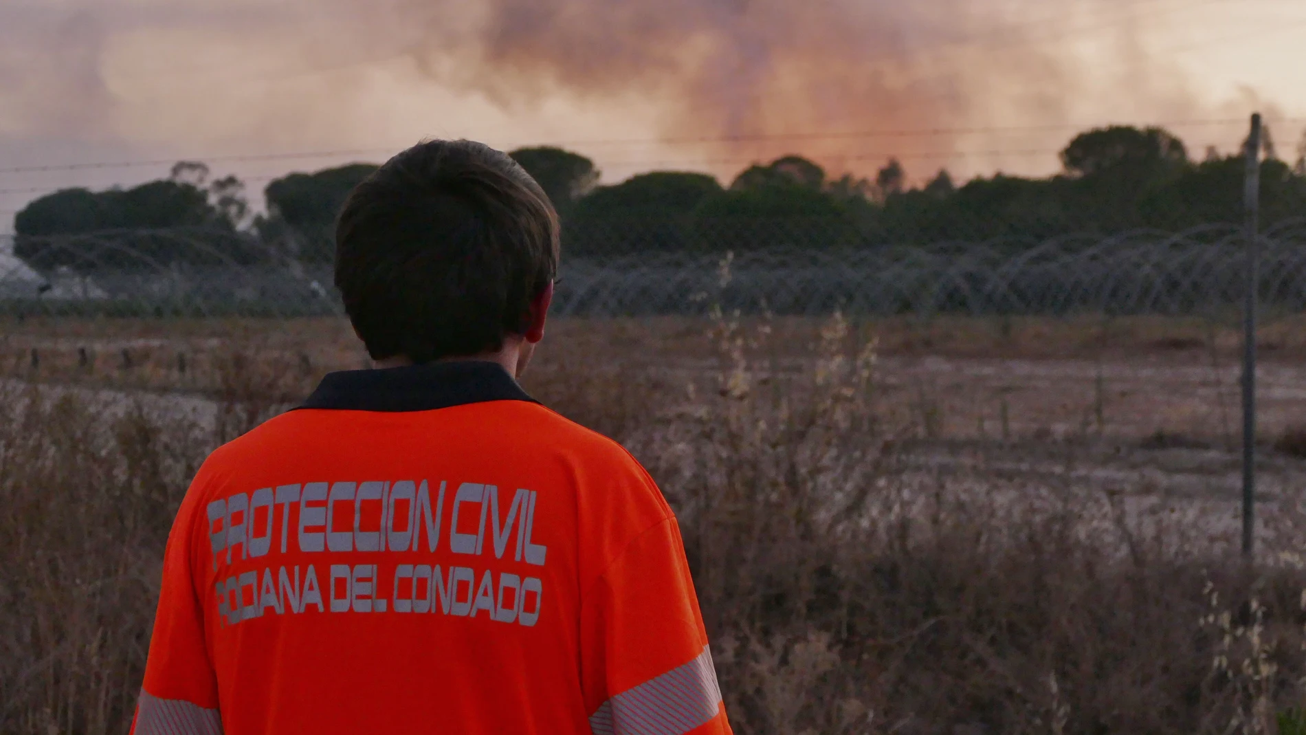 El incendio forestal declarado en el paraje "El Corchito" de Bonares, en Huelva, ha alcanzado los términos municipales de Rociana y Almonte