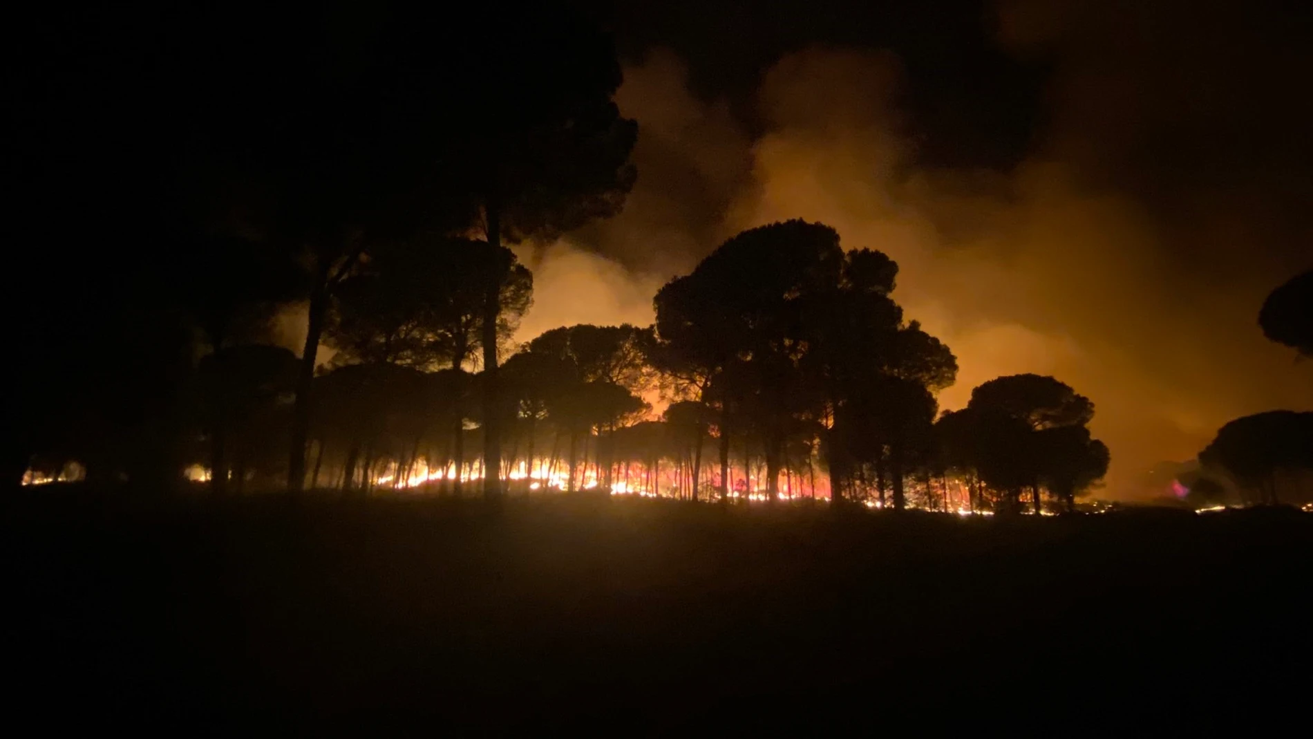 Imagen del incendio de Almonte (Huelva). INFOCA