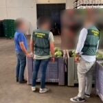 Sandías intervenidas por la Guardia Civil