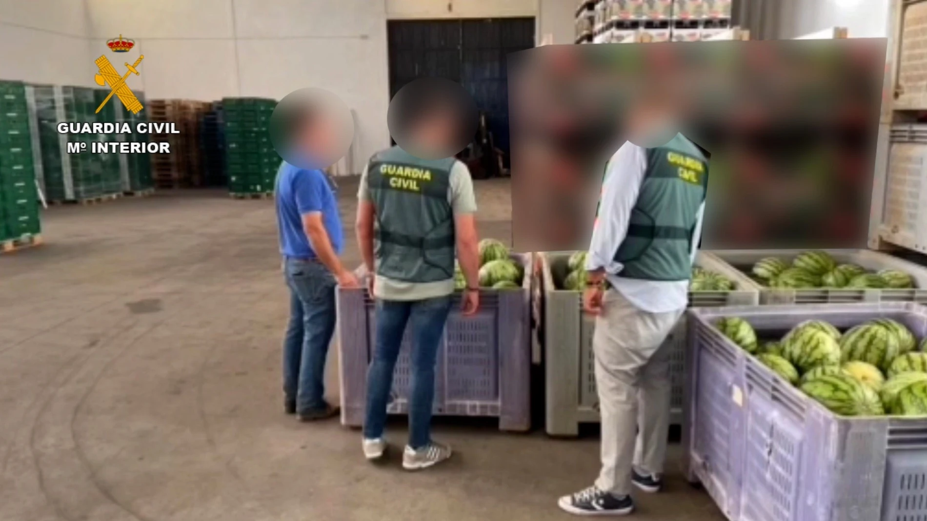 Sandías intervenidas por la Guardia Civil