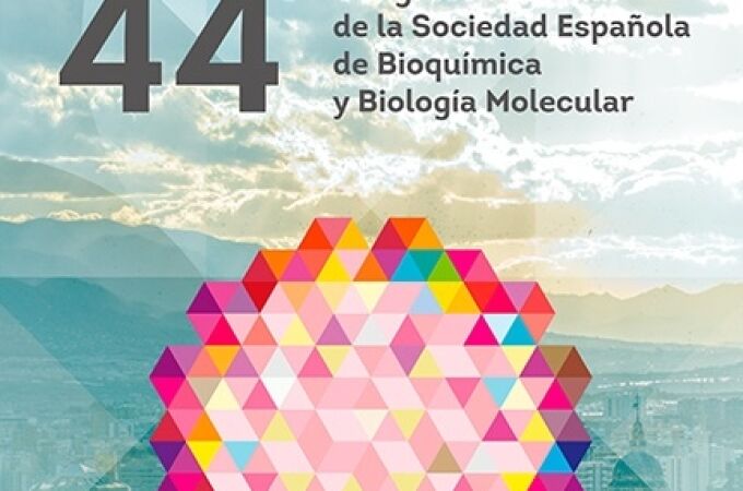 La UMA acoge en septiembre el mayor congreso de Bioquímica y Biología Molecular de España con 600 investigadores