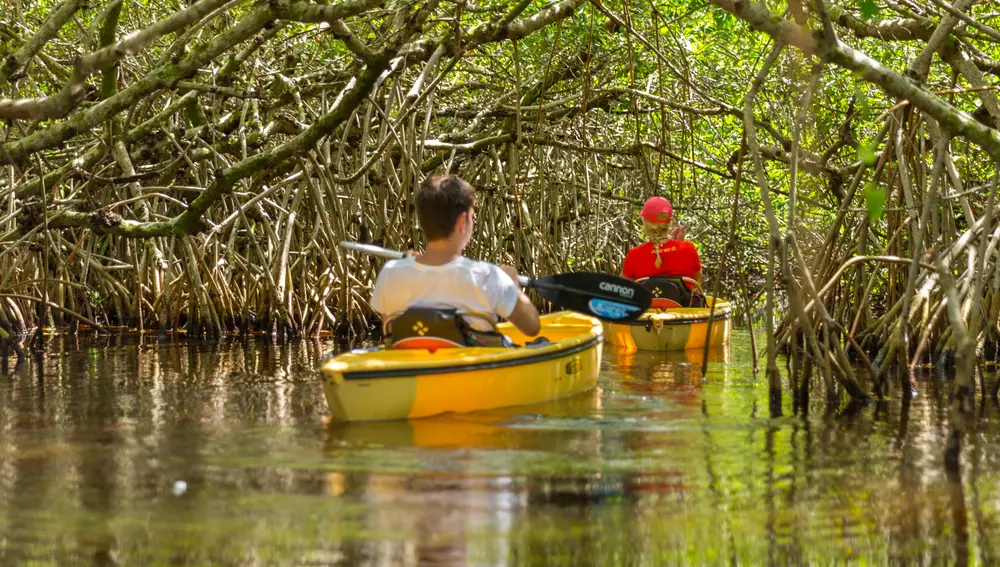 El Parque Nacional de los Everglades invita a la aventura en familia