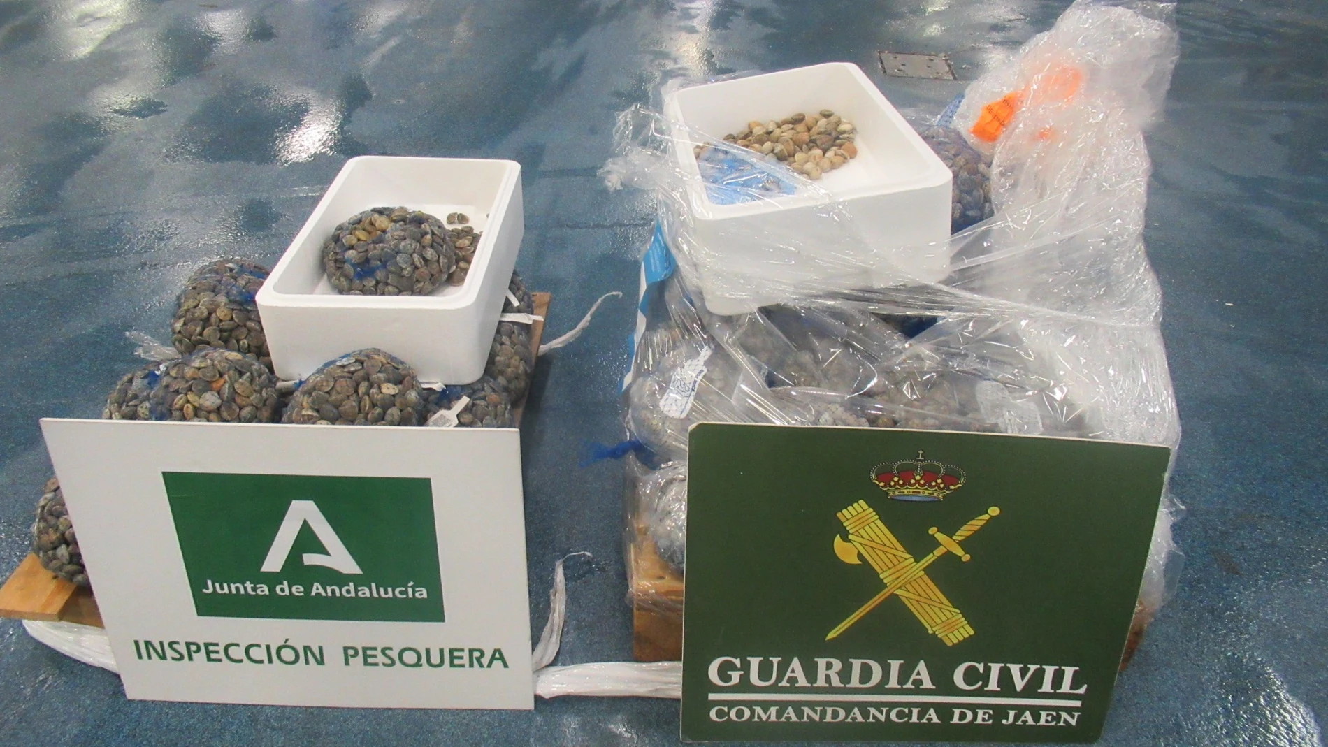 Mercancía inmovilizada. GUARDIA CIVIL