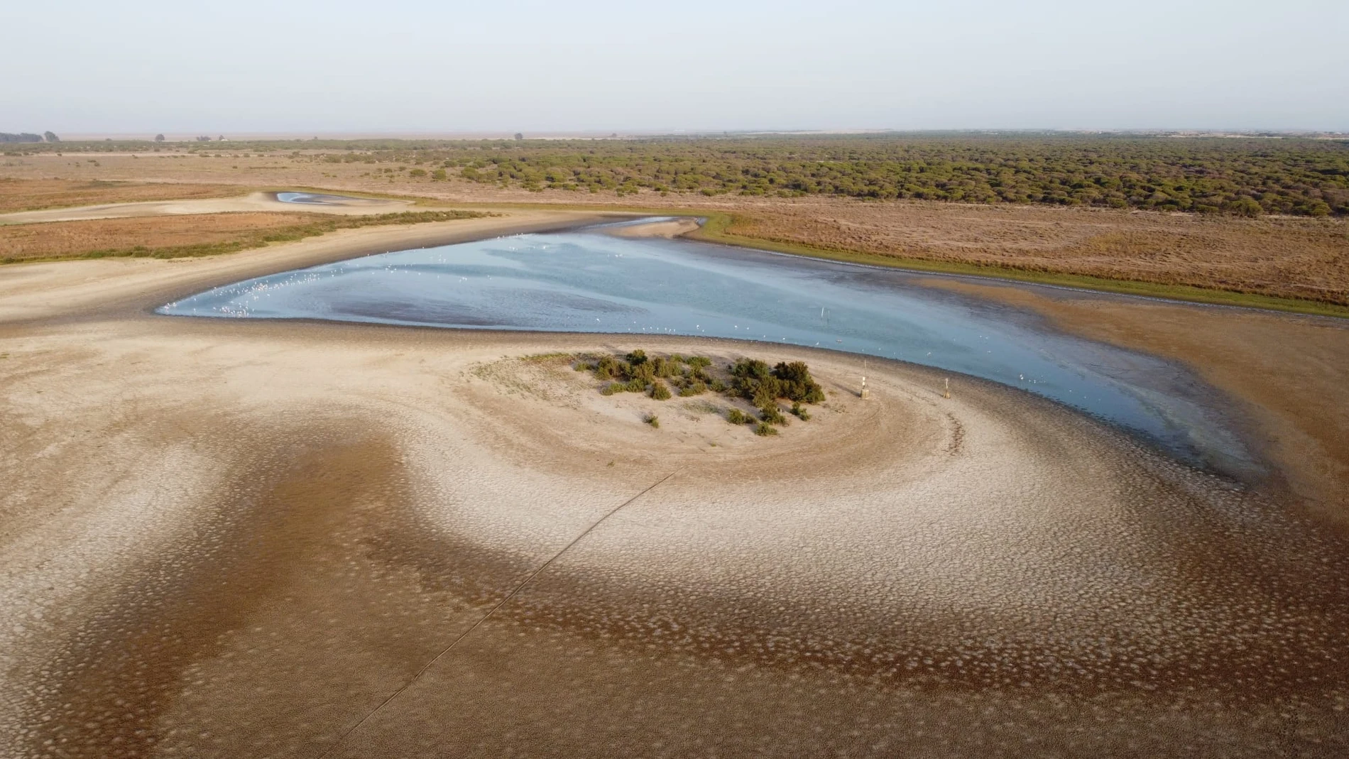 Vista de la laguna de Santa Olalla en el Parque Natural de Doñana en Almonte Huelva. EFE/Infraestructura Científico-Técnica Singular de Doñana (ICTS-RBD)