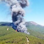 Incendio en Santa Cruz del Valle (Ávila)