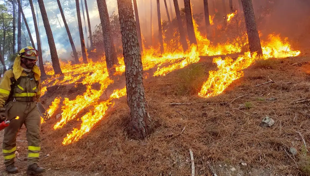 Incendio en Santa Cruz del Valle (Ávila)