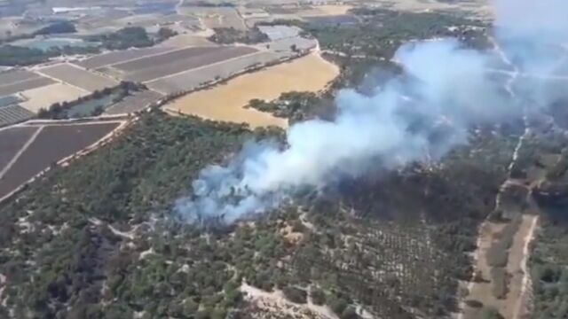 Incendio declarado en el municipio de Moguer (Huelva)
